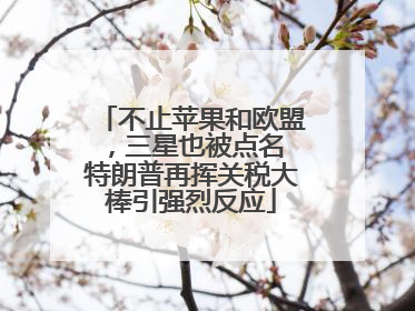 不止苹果和欧盟，三星也被点名 特朗普再挥关税大棒引强烈反应