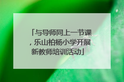 与导师同上一节课，乐山柏杨小学开展新教师培训活动