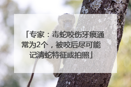 专家：毒蛇咬伤牙痕通常为2个，被咬后尽可能记清蛇特征或拍照