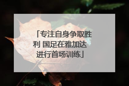 专注自身争取胜利 国足在雅加达进行首场训练