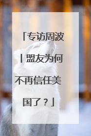 专访周波丨盟友为何不再信任美国了？