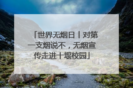 世界无烟日丨对第一支烟说不，无烟宣传走进十堰校园