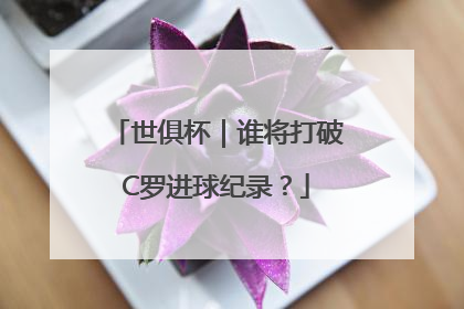 世俱杯｜谁将打破C罗进球纪录？