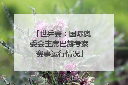 世乒赛：国际奥委会主席巴赫考察赛事运行情况