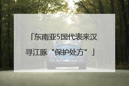 东南亚5国代表来汉寻江豚“保护处方”