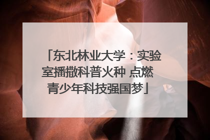 东北林业大学：实验室播撒科普火种 点燃青少年科技强国梦