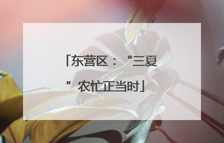 东营区：“三夏”农忙正当时