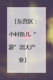东营区：小村鱼儿“游”出大产业