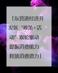 东营港经济开发区“政策+活动”双轮驱动 提振消费能力 释放消费潜力