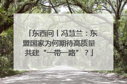 东西问丨冯慧兰：东盟国家为何期待高质量共建“一带一路”？