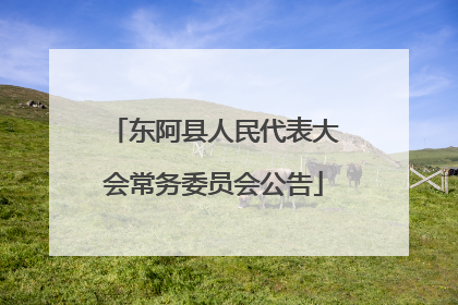 东阿县人民代表大会常务委员会公告