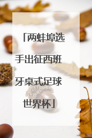 两蚌埠选手出征西班牙桌式足球世界杯