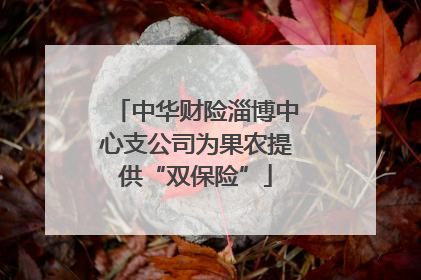 中华财险淄博中心支公司为果农提供“双保险”