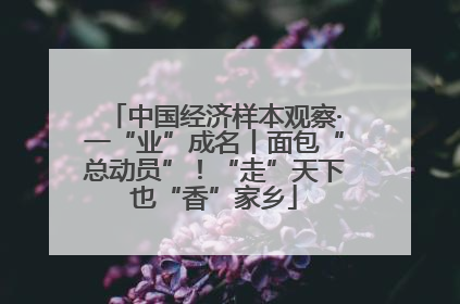中国经济样本观察·一“业”成名丨面包“总动员”！“走”天下也“香”家乡