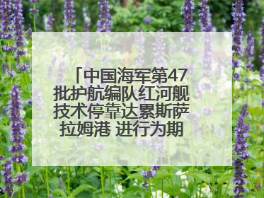 中国海军第47批护航编队红河舰技术停靠达累斯萨拉姆港 进行为期5天的补给休整