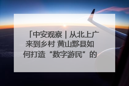 中安观察｜从北上广来到乡村 黄山黟县如何打造“数字游民”的“桃花源”？