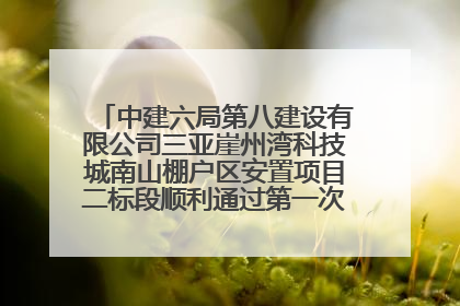 中建六局第八建设有限公司三亚崖州湾科技城南山棚户区安置项目二标段顺利通过第一次主体结构验收
