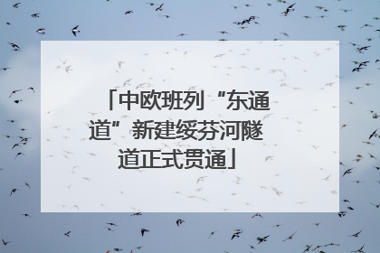 中欧班列“东通道”新建绥芬河隧道正式贯通