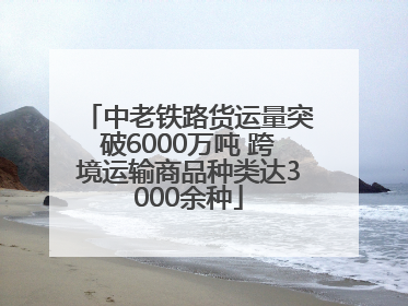 中老铁路货运量突破6000万吨 跨境运输商品种类达3000余种