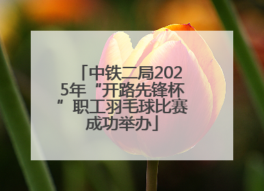 中铁二局2025年“开路先锋杯”职工羽毛球比赛成功举办