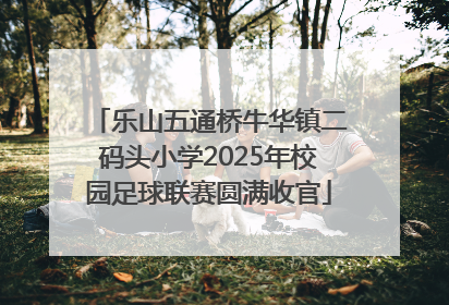 乐山五通桥牛华镇二码头小学2025年校园足球联赛圆满收官