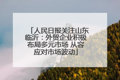 人民日报关注山东临沂：外贸企业积极布局多元市场 从容应对市场波动