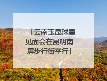 云南玉昆球星见面会在昆明南屏步行街举行
