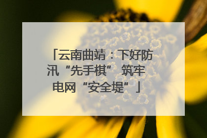 云南曲靖：下好防汛“先手棋” 筑牢电网“安全堤”