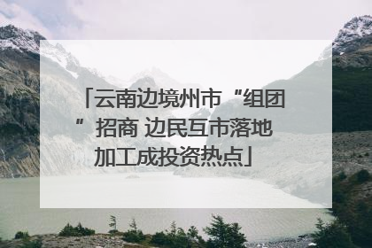 云南边境州市“组团”招商 边民互市落地加工成投资热点