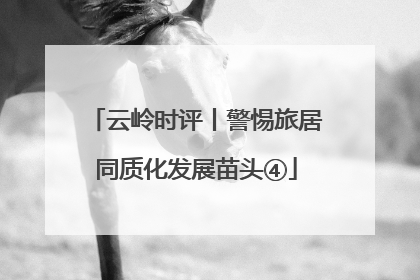 云岭时评丨警惕旅居同质化发展苗头④