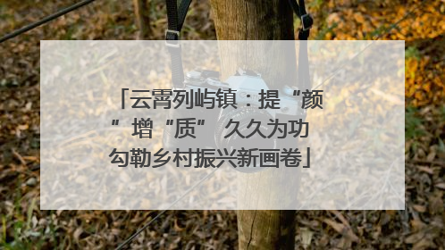 云霄列屿镇：提“颜”增“质” 久久为功勾勒乡村振兴新画卷