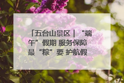 五台山景区｜“端午”假期 服务保障最“粽”要 护航假期“不打烊”