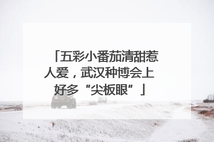五彩小番茄清甜惹人爱，武汉种博会上好多“尖板眼”