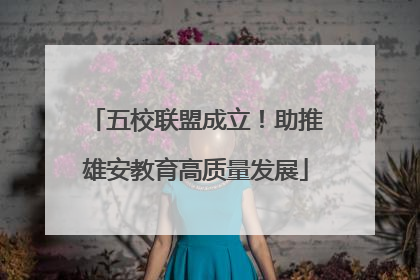 五校联盟成立！助推雄安教育高质量发展