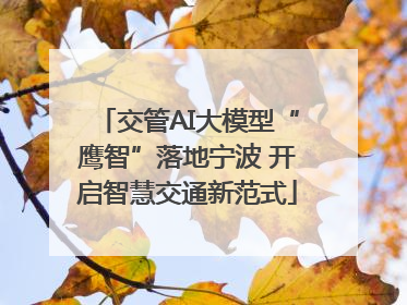 交管AI大模型“鹰智”落地宁波 开启智慧交通新范式