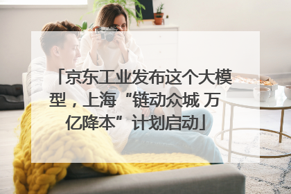 京东工业发布这个大模型，上海“链动众城 万亿降本”计划启动