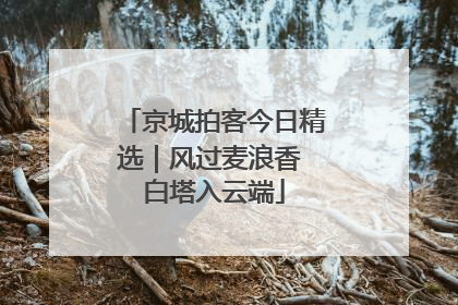 京城拍客今日精选｜风过麦浪香 白塔入云端