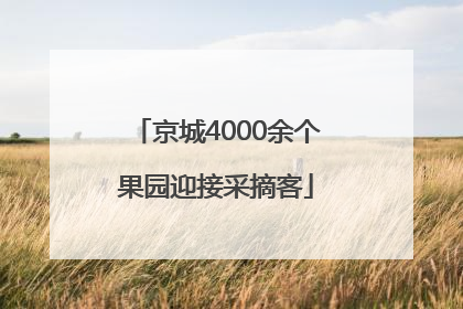 京城4000余个果园迎接采摘客