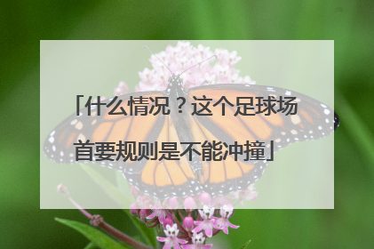 什么情况？这个足球场首要规则是不能冲撞