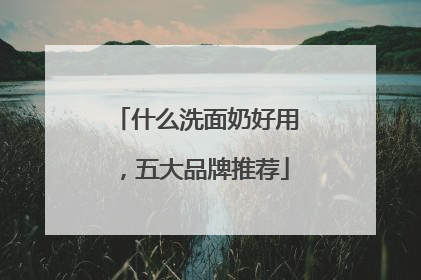 什么洗面奶好用，五大品牌推荐