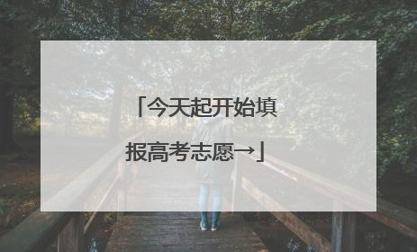 今天起开始填报高考志愿→