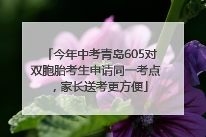 今年中考青岛605对双胞胎考生申请同一考点，家长送考更方便