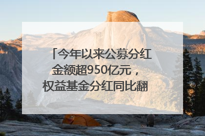 今年以来公募分红金额超950亿元，权益基金分红同比翻倍｜招财猫
