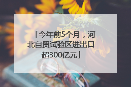 今年前5个月，河北自贸试验区进出口超300亿元