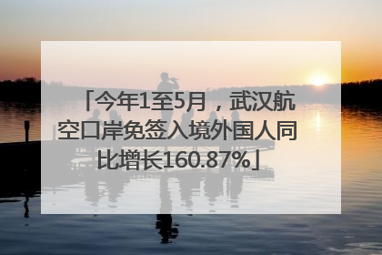 今年1至5月，武汉航空口岸免签入境外国人同比增长160.87%