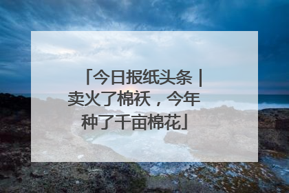 今日报纸头条｜卖火了棉袄，今年种了千亩棉花