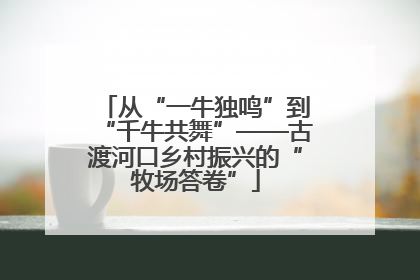 从“一牛独鸣”到“千牛共舞”——古渡河口乡村振兴的“牧场答卷”
