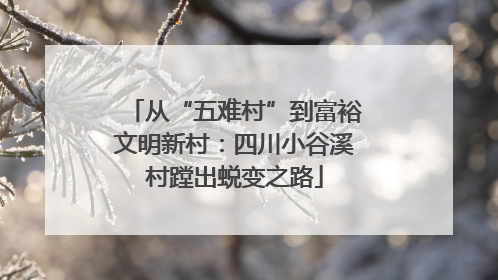 从“五难村”到富裕文明新村：四川小谷溪村蹚出蜕变之路