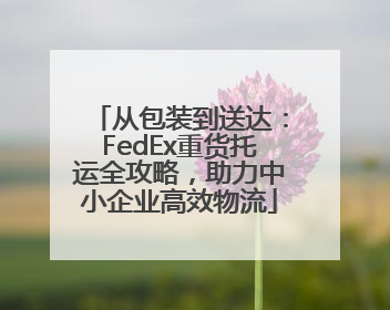 从包装到送达：FedEx重货托运全攻略，助力中小企业高效物流