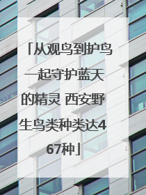 从观鸟到护鸟 一起守护蓝天的精灵 西安野生鸟类种类达467种
